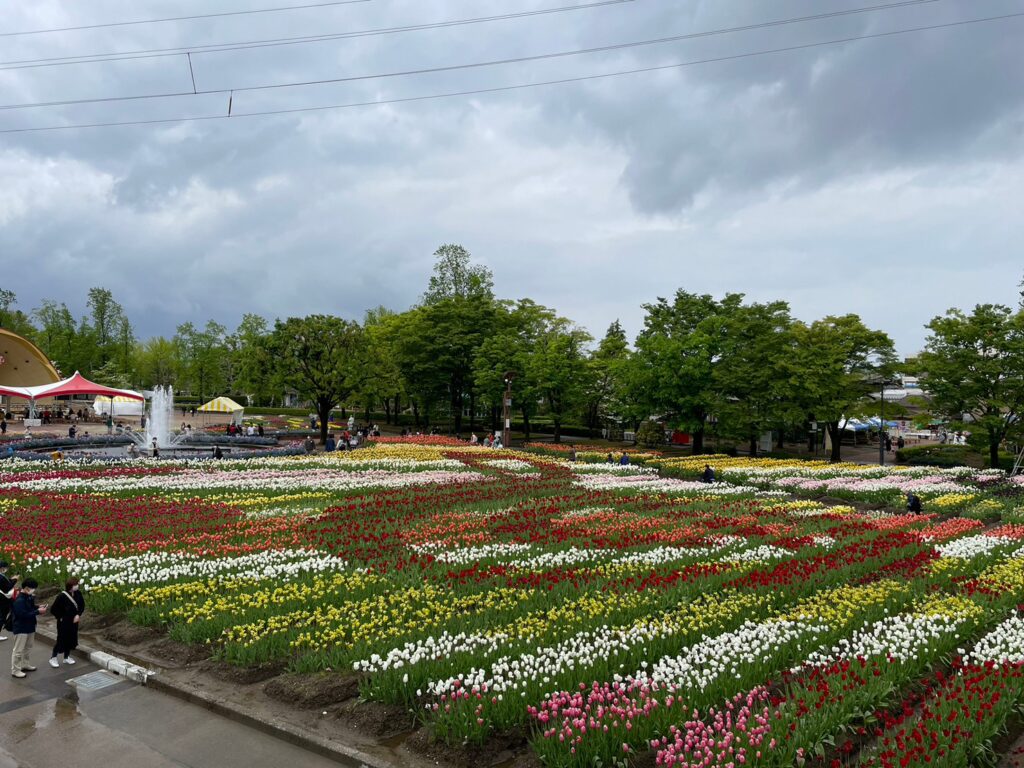 砺波チューリップ公園
