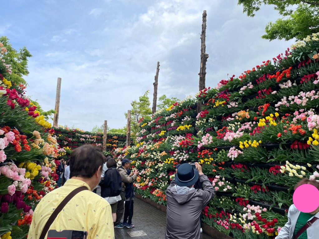 砺波チューリップ公園
