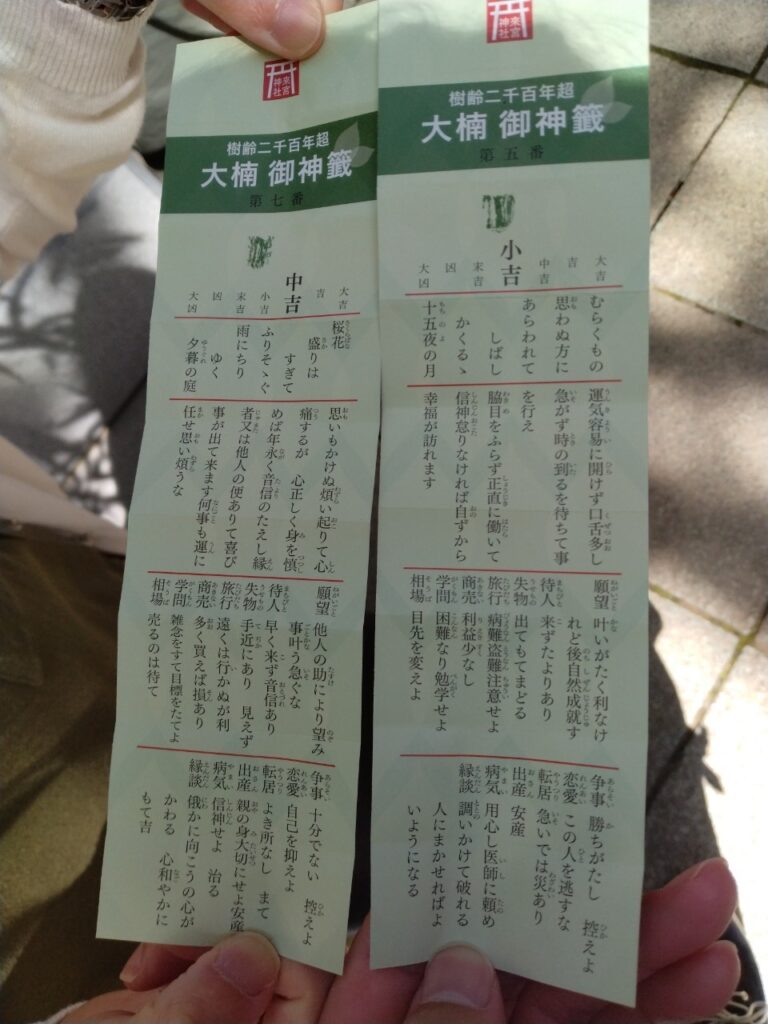 来宮神社おみくじ